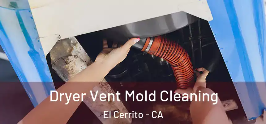  Dryer Vent Mold Cleaning El Cerrito - CA
