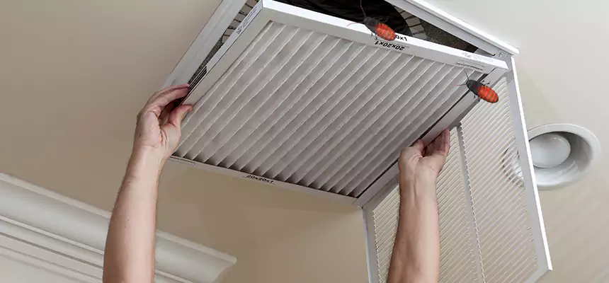 Preventive Cockroach-Proofing for Ducts in El Cerrito