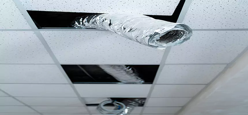 Our Air Duct Pet Hair Removal Services in El Cerrito, CA