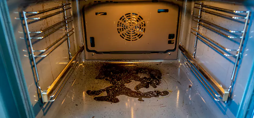 Our Dryer Vent Mold Cleaning Services in El Cerrito, CA