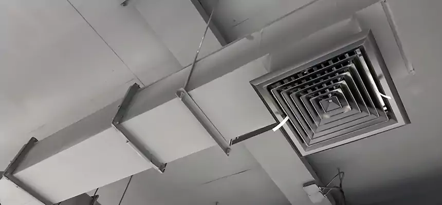 Our Rodent Droppings In Vents Services in El Cerrito, CA