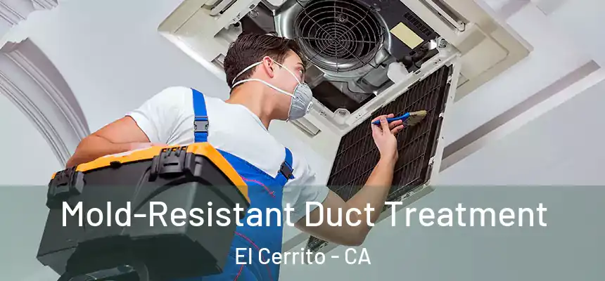 Mold-Resistant Duct Treatment El Cerrito - CA