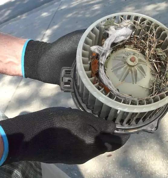 About Air Duct Mice Removal in El Cerrito, CA