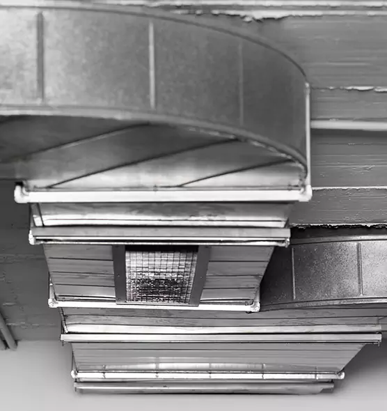 Professional Air Duct Pest Removal in El Cerrito, CA