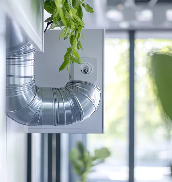 Professional Eco-Safe Dryer Vent Cleaning in El Cerrito, CA