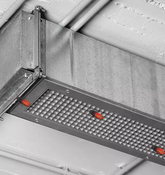 Affordable Insect Removal from Air Ducts in El Cerrito, CA