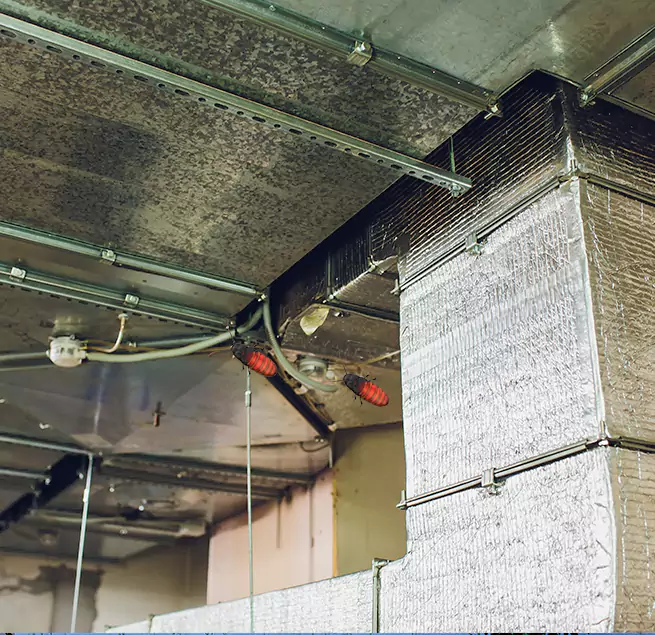 Why Homeowners & Businesses Trust Us in El Cerrito, CA?