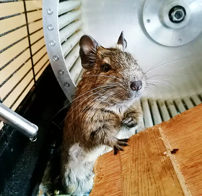 Why Homeowners & Businesses Trust Us El Cerrito, CA